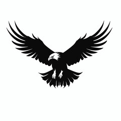 Fototapeta premium Bold eagle soars, displaying powerful wings in a black silhouette