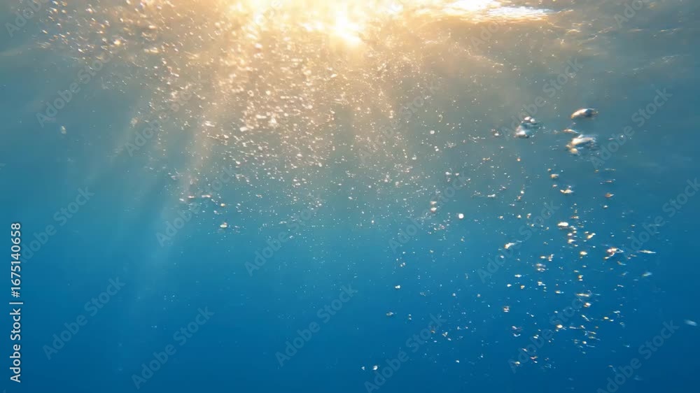 Poster underwater sunlight and bubbles - sunlight streams through the ocean surface, illuminating a column 