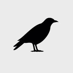 Obraz premium Simple black bird perching, standing stark against the grayscale background silhouette