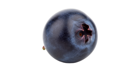 single blueberry a tiny universe of flavor, intense blue hues, macro photography