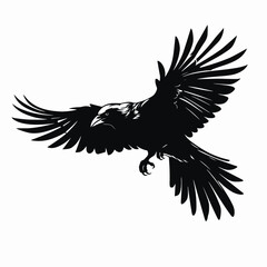 Fototapeta premium Majestic raven spreads wings, embracing power in a graphic silhouette