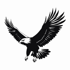 Obraz premium Striking bald eagle wings spread in strong black symbolic silhouette