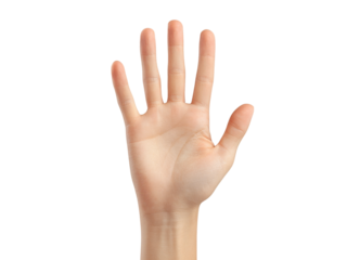 Open hand palm up five fingers isolated black background, Isolated On White Background, Png Transparent