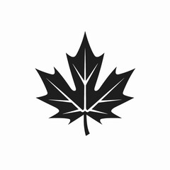 Striking maple leaf design, elegant Canadian symbol graphic silhouette.