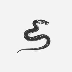 Fototapeta premium Curving venomous serpent illustration on white background with abstract snake silhouette
