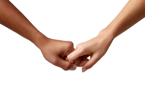 Two hands clasped together in unity and support, Isolated On White Background, Png Transparent