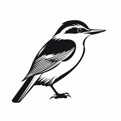 Striking minimal vector bird art, simple black and white silhouette