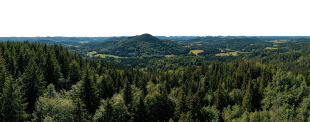 Lush forest canopy overlooking a valley