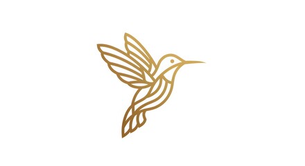 Obraz premium Gold line art hummingbird illustration