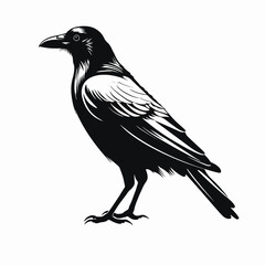 Obraz premium Majestic raven with intricate feather details depicted in striking monochrome silhouette