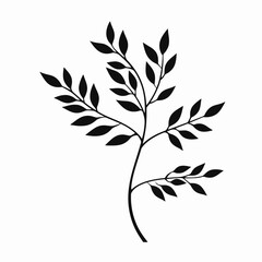 Elegant botanical design featuring delicate branches and leaves in black silhouette