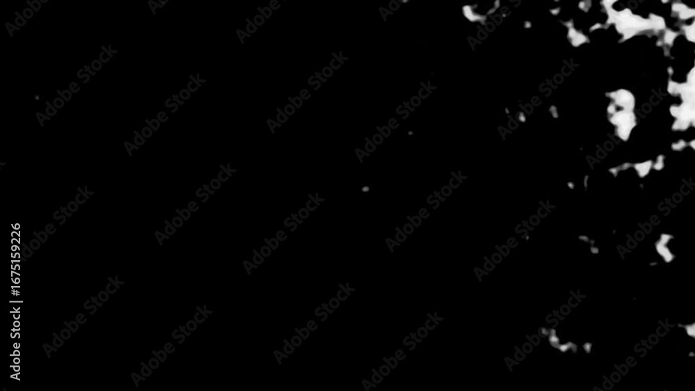 Poster 3d rendering of transition effects animation. white to black background transition overlay