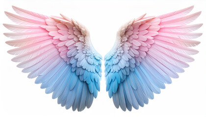 Obraz premium Soft Pastel Angel Wings with Pink and Blue Gradient Feathers
