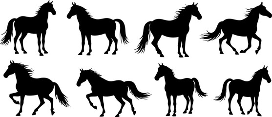 Black Horse Silhouettes in Various Poses