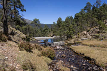 Paisaje con hermoso cielo de invierno y río con pastizales 