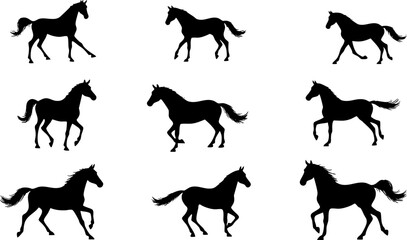 Black Horse Silhouettes in Various Poses