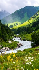 Alpine River Valley Scenery