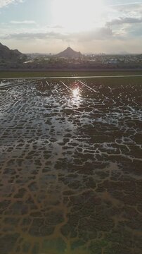 presa de hermosillo sonora 2025