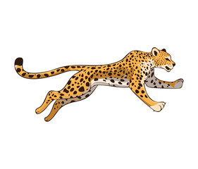 Majestic Leopard Illustration Running, Depicting the Power and Grace of a Wild Predator