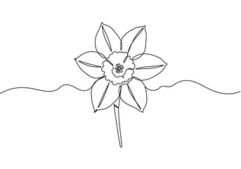 Minimalist daffodil outline illustration, perfect for spring designs, elegant branding, and modern floral art