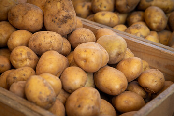 Crate of Potatoes