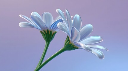 Fototapeta premium Delicate blue flower blooming in nature