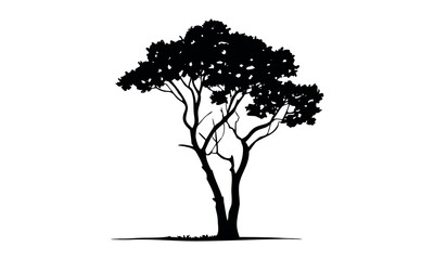 Black tree silhouettes collection. Single tree vectors. Tree in silhouette. Various tree vectors. Forest and nature concept. Collection of different tree symbols.