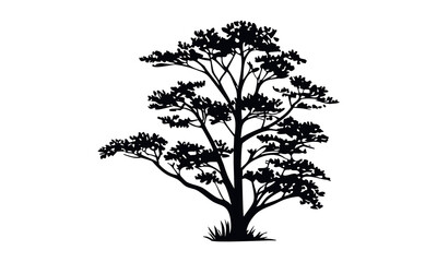 Black tree silhouettes collection. Single tree vectors. Tree in silhouette. Various tree vectors. Forest and nature concept. Collection of different tree symbols.