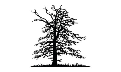 Black tree silhouettes collection. Single tree vectors. Tree in silhouette. Various tree vectors. Forest and nature concept. Collection of different tree symbols.