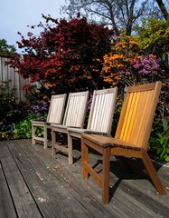 Backyard Patio Furniture Arrangement (1)