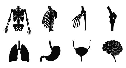 Human body parts and organs in black silhouette illustrations