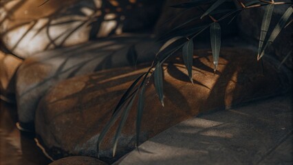 Natural stone texture background with green leaf shadows overlay.