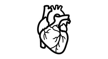 A black and white illustration of a human heart
