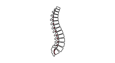 A medical illustration of a human spine from the side view