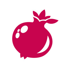 vector illustration of pomegranate