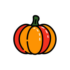 pumpkin on a white background