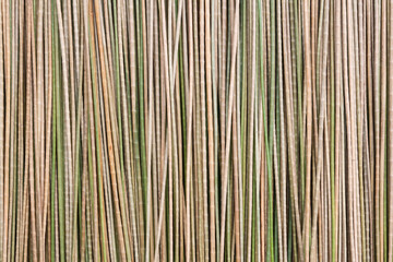 Dry Krajood Tree, ready for weaving