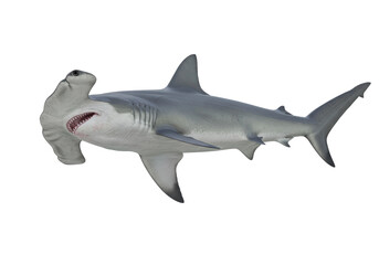 Isolated Hammerhead Shark Swimming underwater with open Mouth in ocean; Dangerous predator