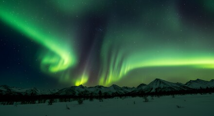 Aurora borealis over snowy mountains