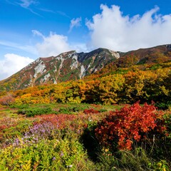 Autumn Foliage Mountain Landscape