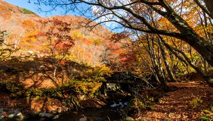 Autumn Foliage Mountain Stream