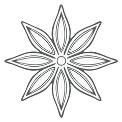 Illustration of Star Anise Spice