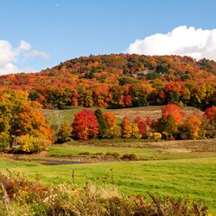 Autumn Foliage Mountain View (4)