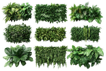 Set of lush green garden walls featuring tropical plants designed for vibrant indoor or outdoor spaces, enhancing natural beauty with diverse foliage