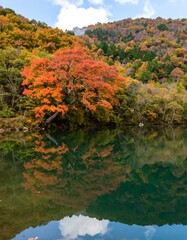 Autumn Foliage Reflects in Lake