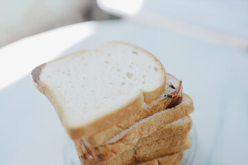 White bread that is covered in flies makes the bread unhealthy