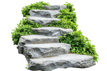 Stone staircase surrounded by lush greenery leads to elevation in a serene outdoor setting with ample natural light