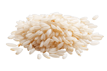 rice grains isolated on white background staple food concept