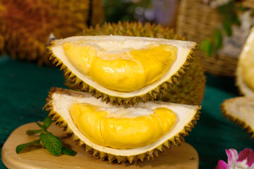 Fototapeta premium Fresh Golden Durian Fruit Cut Open Showing Creamy Yellow Pulp Inside Spiky Shell Tropical Asian Delicacy
