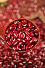 Fresh Red Kidney Beans from Guizhou Province China in Wooden Spoon - Farmers Harvest Legumes